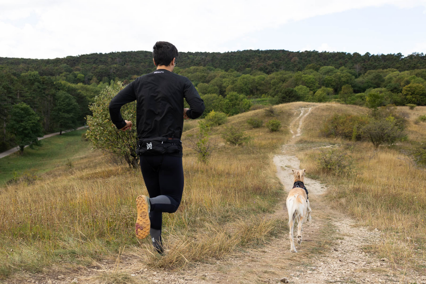 Non-stop Trail light belt lantiovyö, one size Nordic Pet Shop