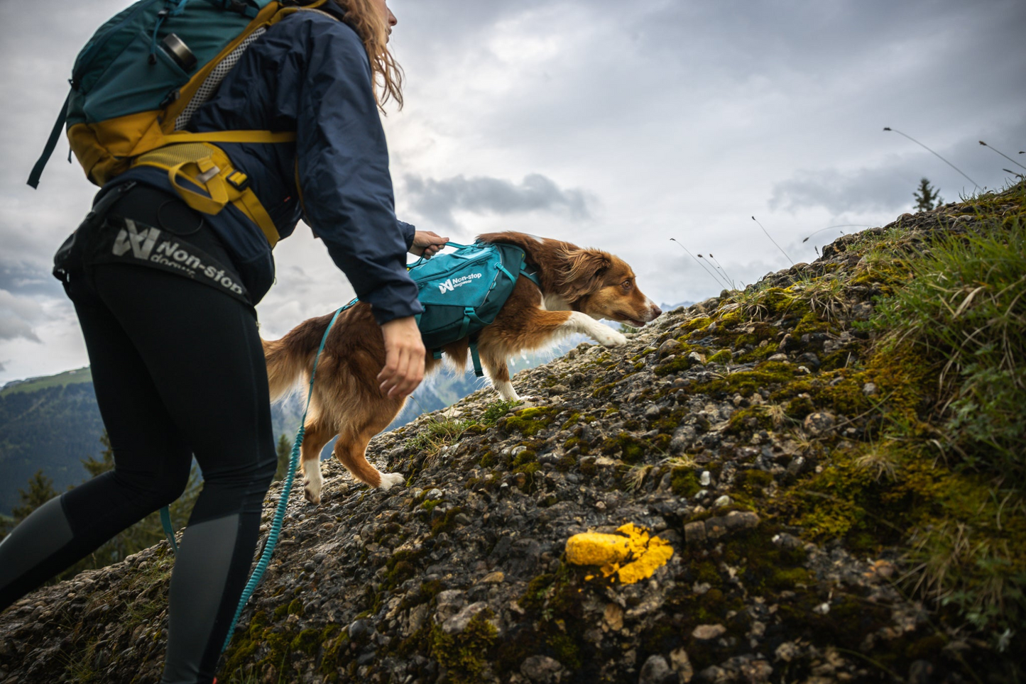Non-stop Trail quest dog backpack koiran reppu, dark teal Nordic Pet Shop