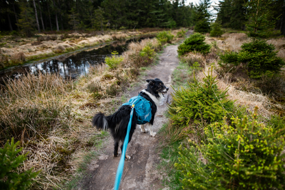 Non-stop Trail quest dog backpack koiran reppu, dark teal Nordic Pet Shop