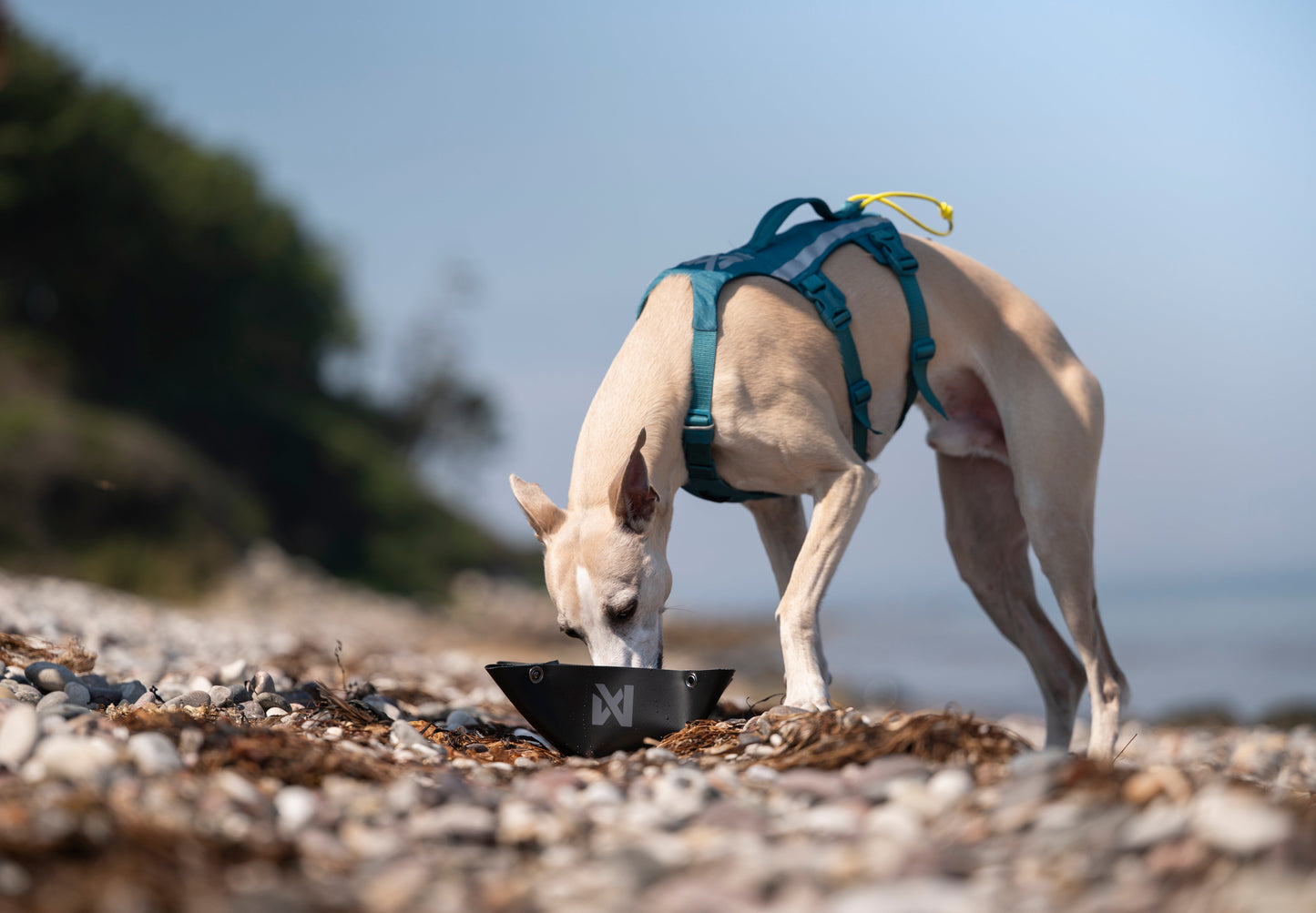 Non-stop Trekking bowl koiran matkakuppi Nordic Pet Shop