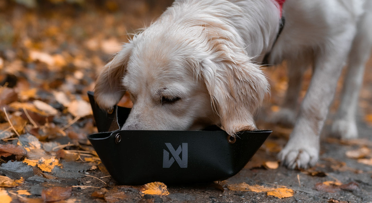 Non-stop Trekking bowl koiran matkakuppi Nordic Pet Shop