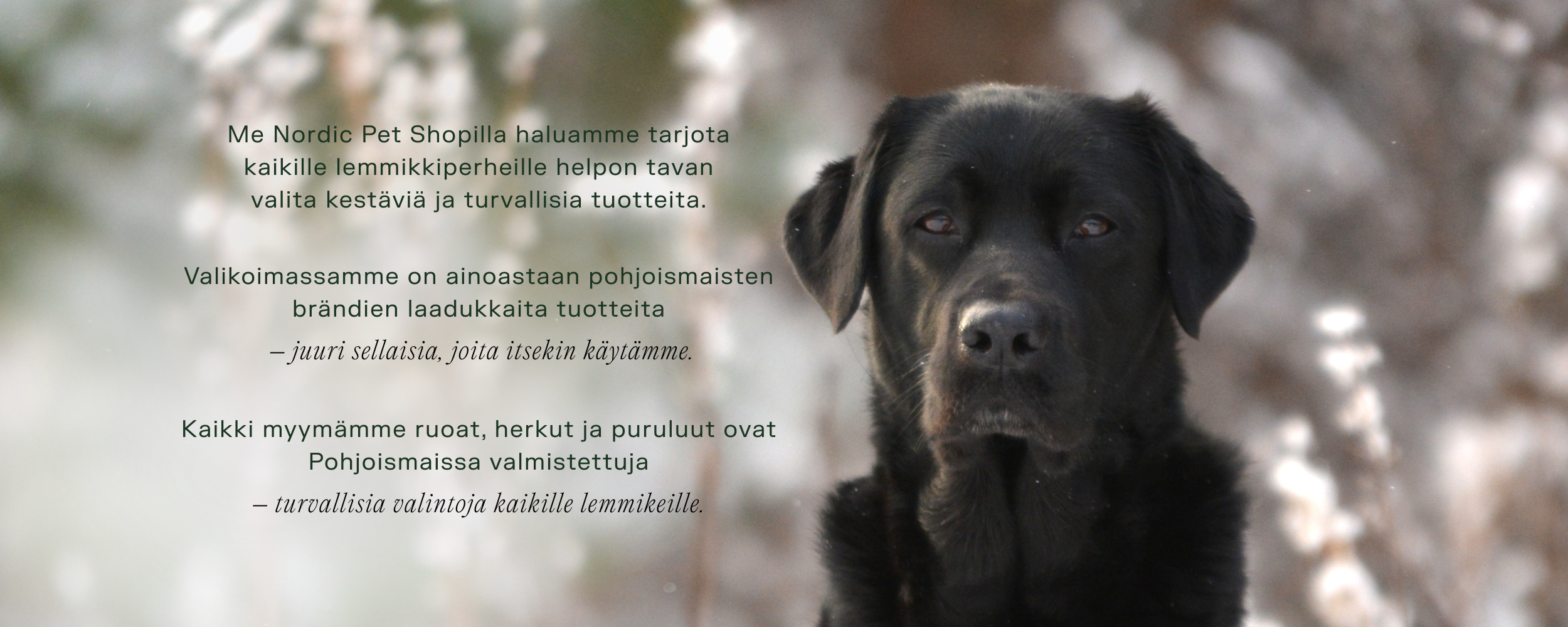 Me Nordic Pet Shopilla haluamme tarjota kaikille lemmikkiperheille helpon tavan valita kestäviä ja turvallisia tuotteita. Valikoimassamme on ainoastaan pohjoismaisten
brändien laadukkaita tuotteita  – juuri sellaisia, joita itsekin käytämme. Kaikki myymämme ruoat, herkut ja puruluut ovat Pohjoismaissa valmistettuja – turvallisia valintoja kaikille lemmikeille.