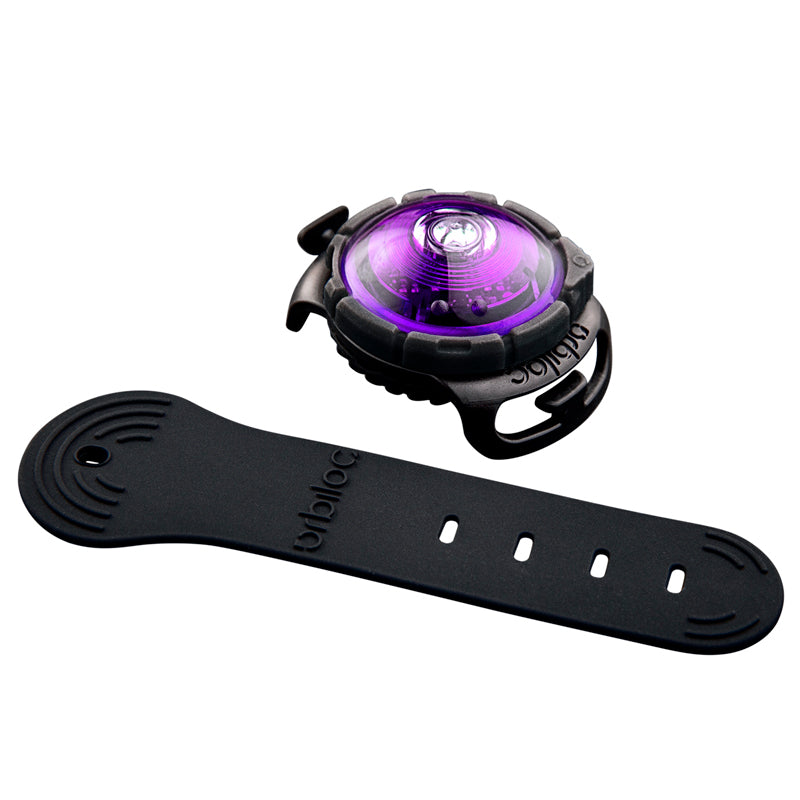 Orbiloc Dual huomiovalo lemmikeille lila