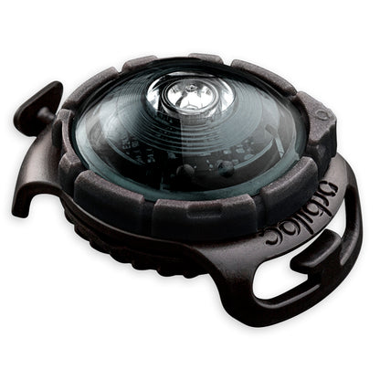 Orbiloc Dual huomiovalo lemmikeille tumma