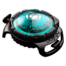 Orbiloc Dual huomiovalo lemmikeille turkoosi