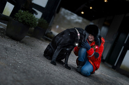 Orbiloc Dual huomiovalo lemmikeille 2 kpl pakkaus 2