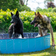 Ozami Dog Pool koiran uima-allas 80 x 20 cm Nordic Pet Shop