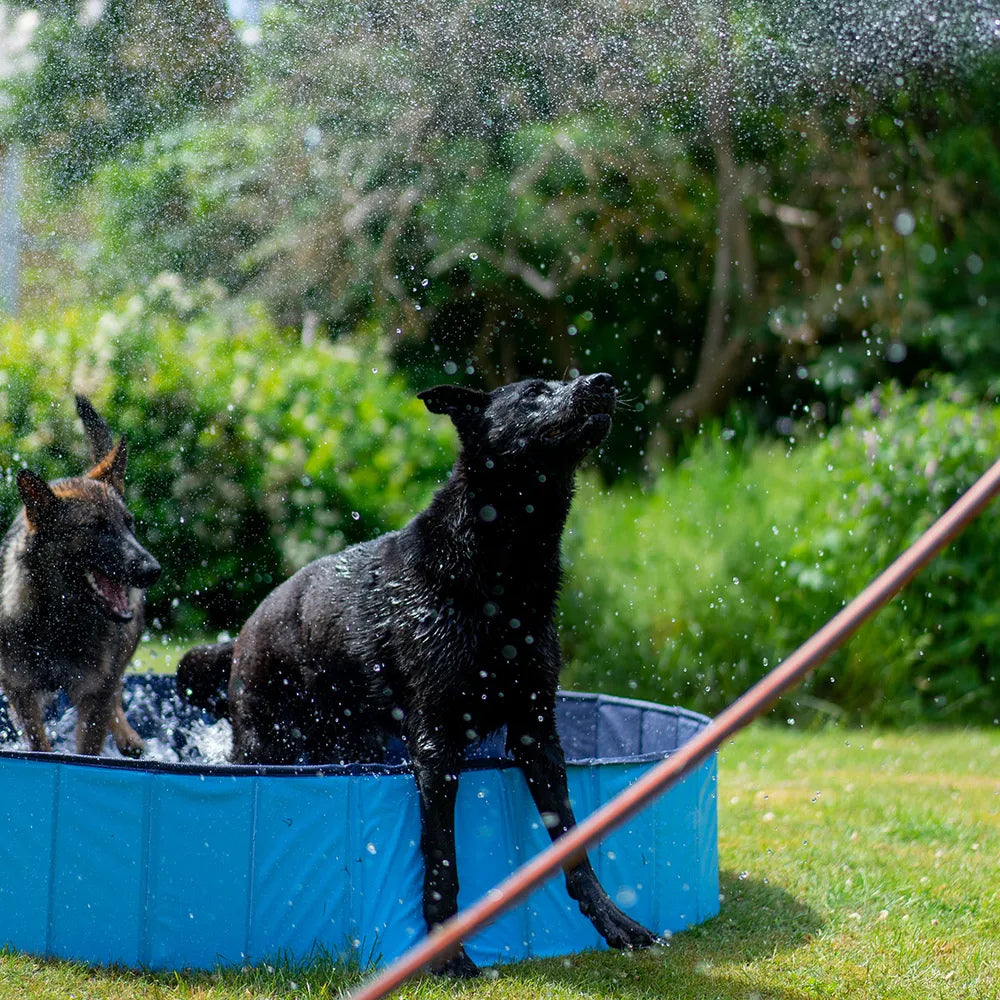 Ozami Dog Pool koiran uima-allas 80 x 20 cm Nordic Pet Shop
