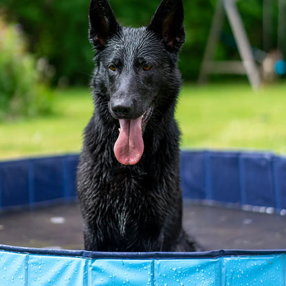 Ozami Dog Pool koiran uima-allas 80 x 20 cm Nordic Pet Shop