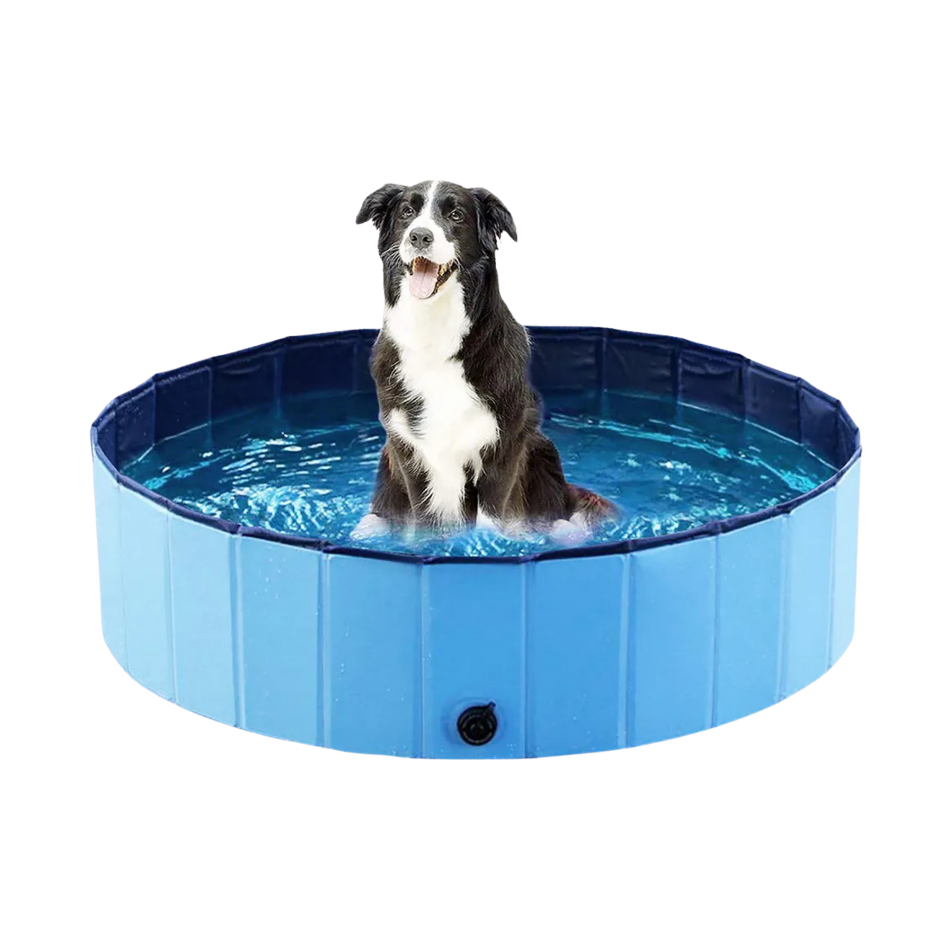 Ozami Dog Pool koiran uima-allas 80 x 20 cm Nordic Pet Shop