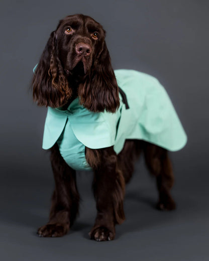 PAIKKA Visibility Raincoat Lite Nordic Pet Shop