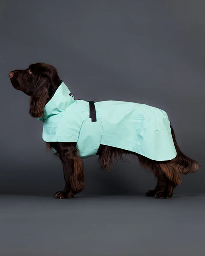 PAIKKA Visibility Raincoat Lite Nordic Pet Shop