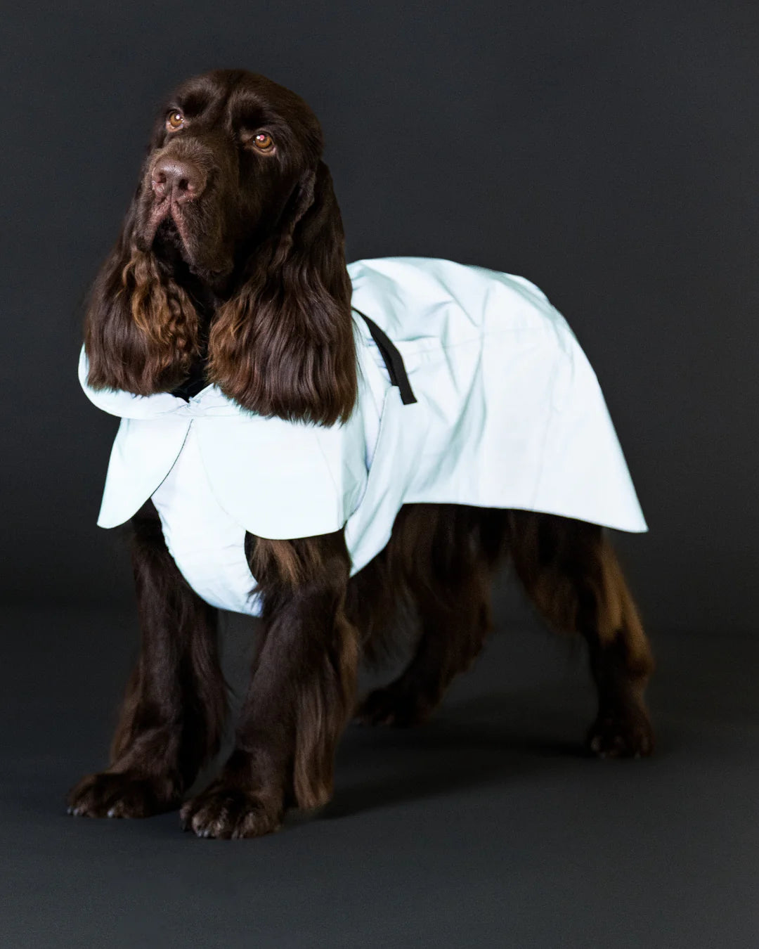 PAIKKA Visibility Raincoat Lite Nordic Pet Shop