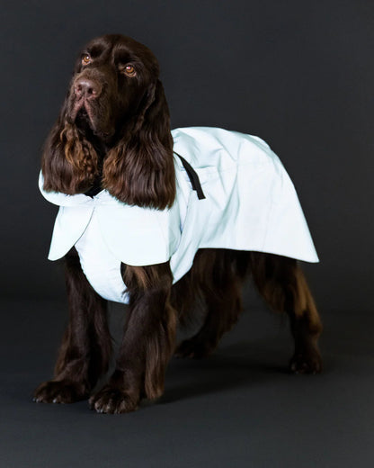 PAIKKA Visibility Raincoat Lite Nordic Pet Shop