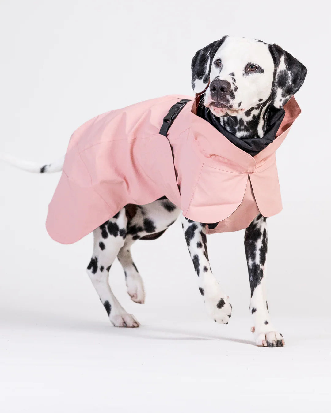 PAIKKA Visibility Raincoat Lite Nordic Pet Shop
