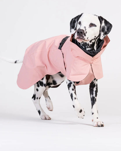 PAIKKA Visibility Raincoat Lite Nordic Pet Shop