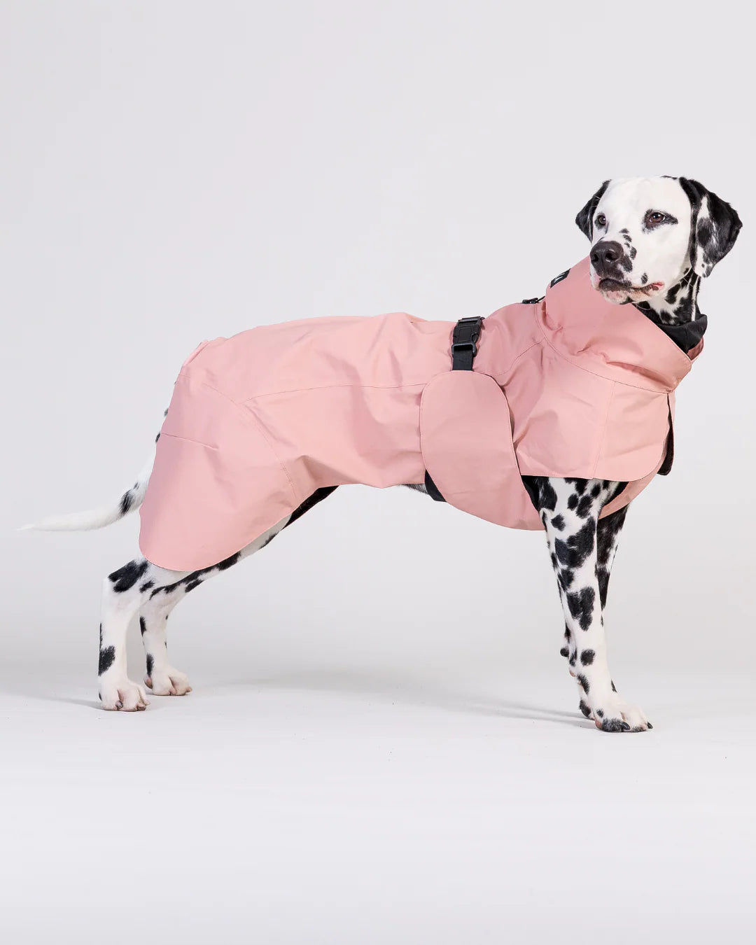 PAIKKA Visibility Raincoat Lite Nordic Pet Shop