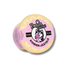Penin Paras koirien jäätelö Mustikka 170 ml
