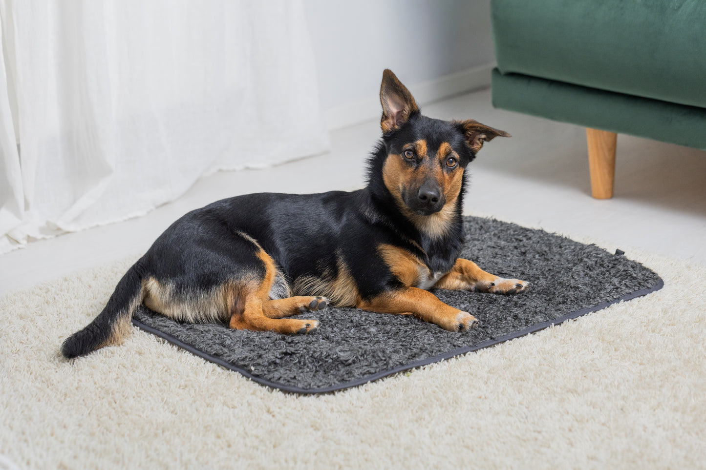 Pomppa Settle Mat
