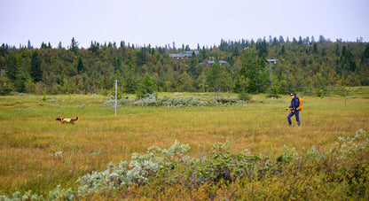 Non-stop Protector round long line -liina, 10 m