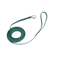 Rakkikoira Hexa -talutin 10 mm x 5 m