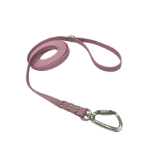 Rakkikoira Hexa -talutin 20 mm x 5 m