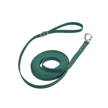 Rakkikoira Hexa -talutin 20 mm x 5 m