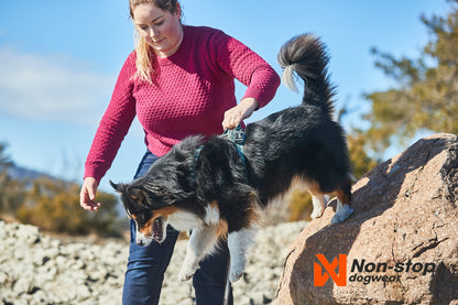 Non-stop Ramble harness koiran valjaat Nordic Pet Shop