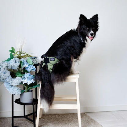 RuttuNuttu kestojuoksuhousut väri Evergreen 1