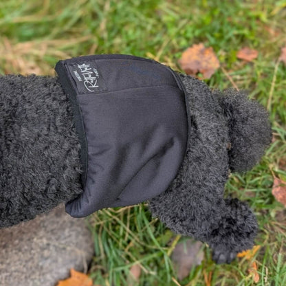 RuttuNuttu urosvyö musta, virtsankarkailun ja merkkailun avuksi 2