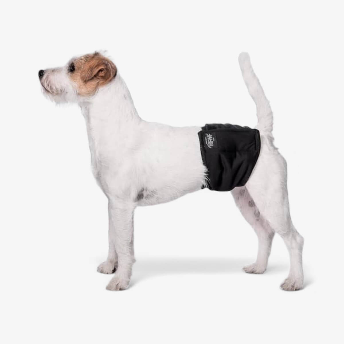 RuttuNuttu urosvyö musta, virtsankarkailun ja merkkailun avuksi 1