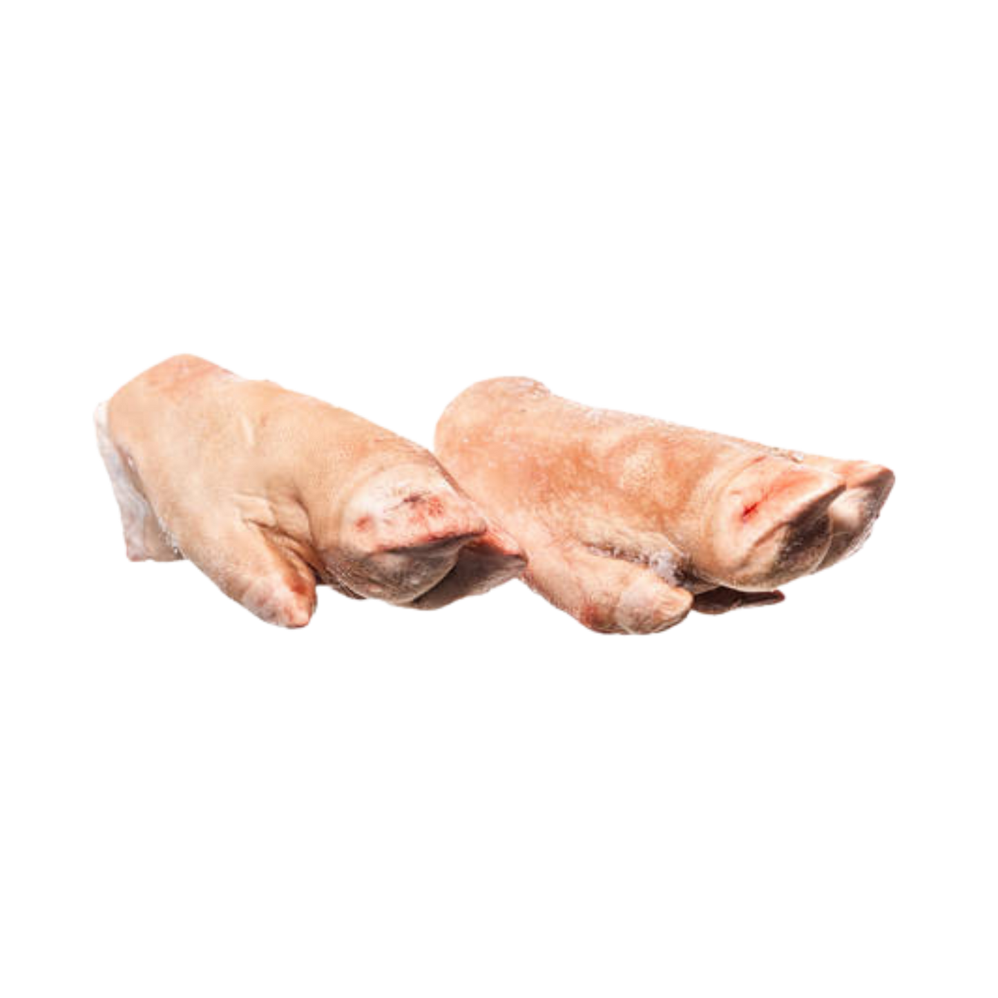TESSU Sian sorkka 20 kg Nordic Pet Shop