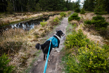 Non-stop Trail quest dog backpack koiran reppu, dark teal