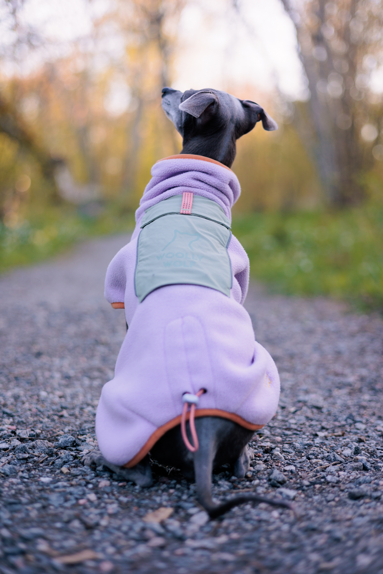 Woolly Wolf Alpha 360 fleecepaita, lavender mix