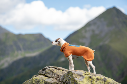 Woolly Wolf Alpha 360 fleecepaita, terracotta mix