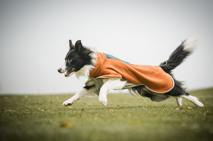 Woolly Wolf Alpha 360 fleecepaita, terracotta mix